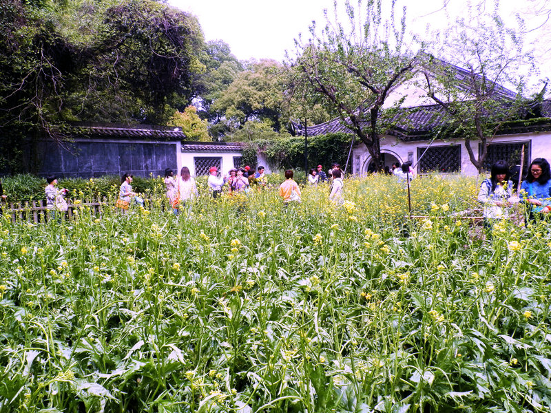 P4140375 - 副本.JPG