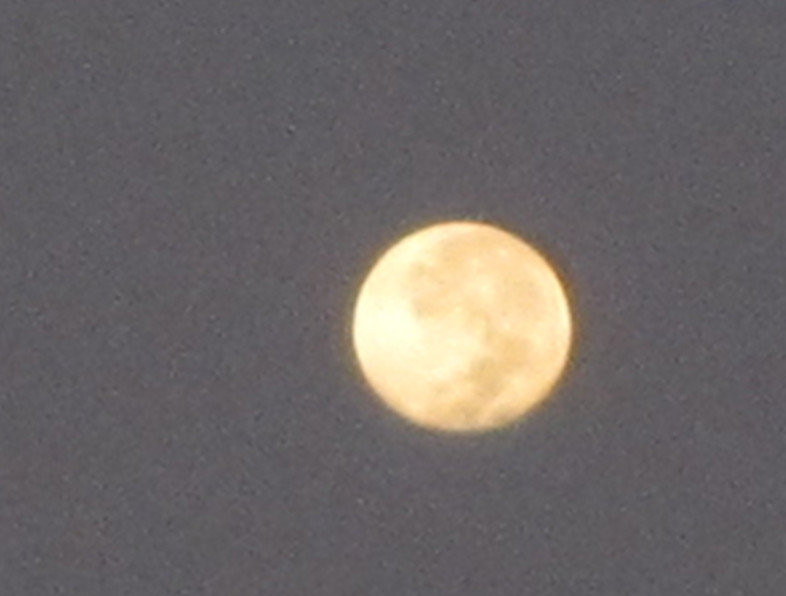 1509540wy3ytbfzytbvwhg_副本.jpg