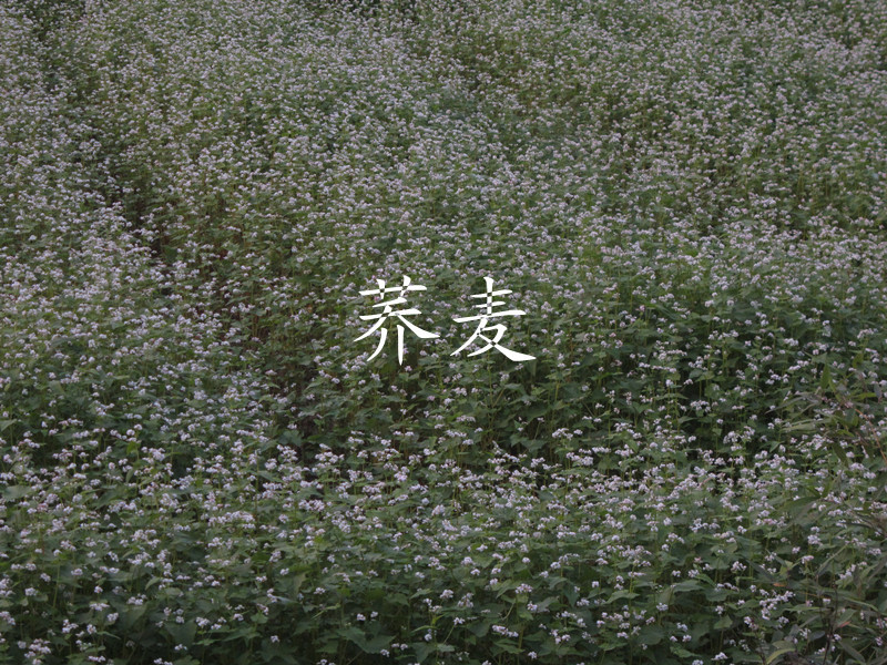山区01.jpg