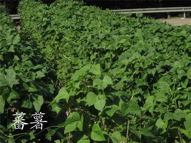 山区05.jpg