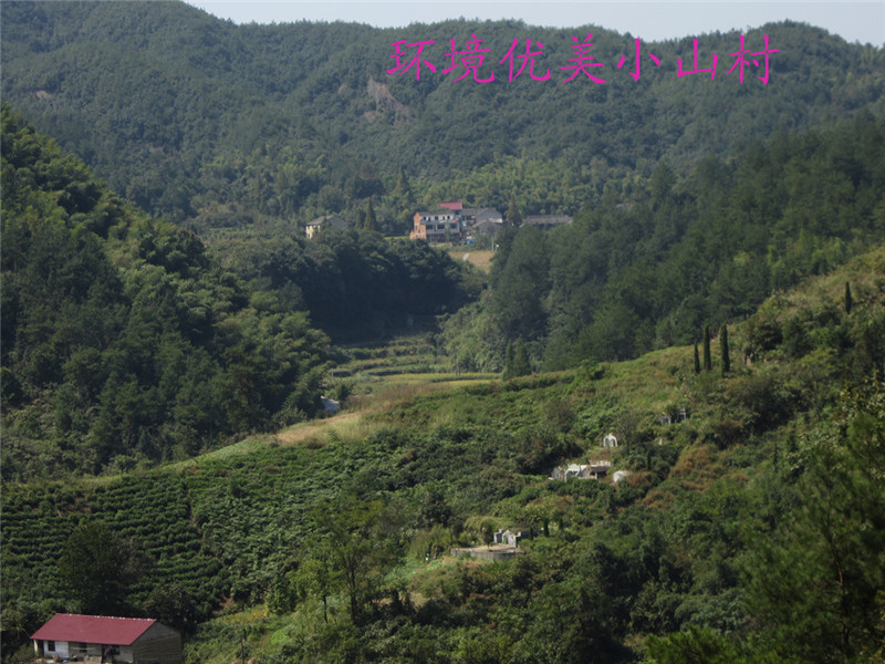 山区08.jpg