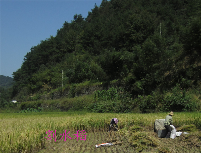 山区09.jpg