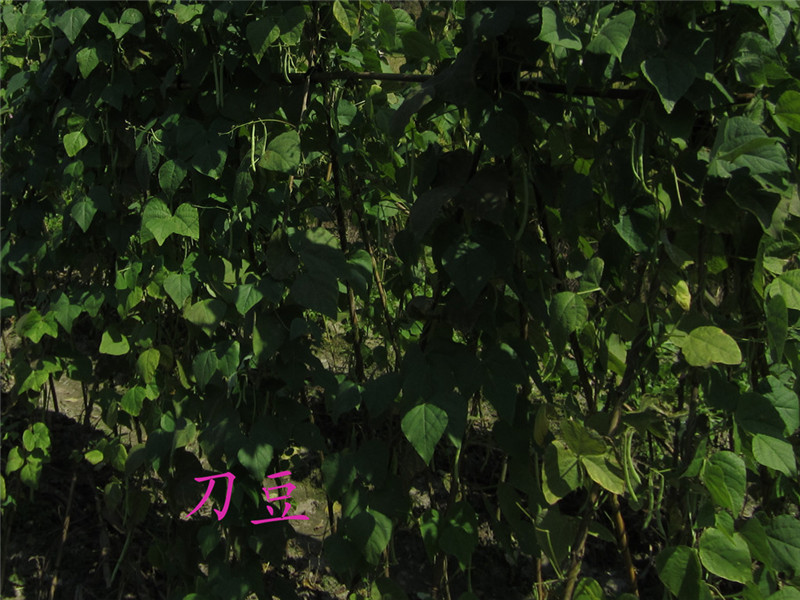 山区10.jpg