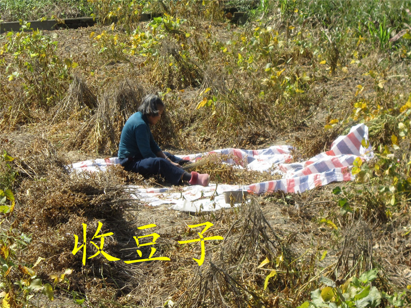 山区11.jpg