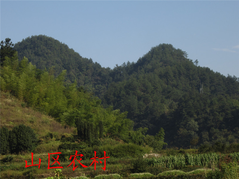 山区14.jpg