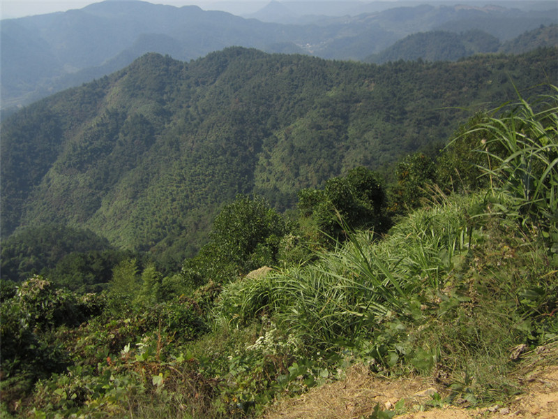 山区20.jpg
