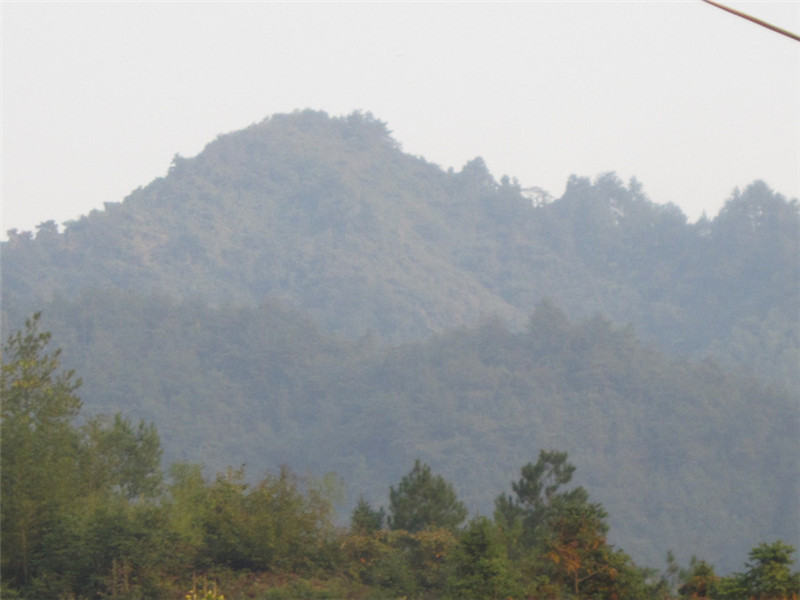 山区26.jpg