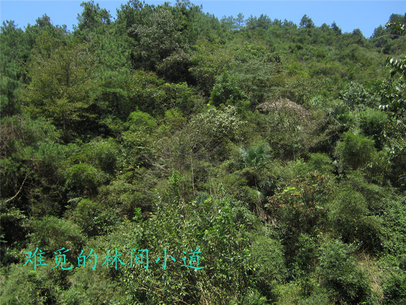 山区28.jpg