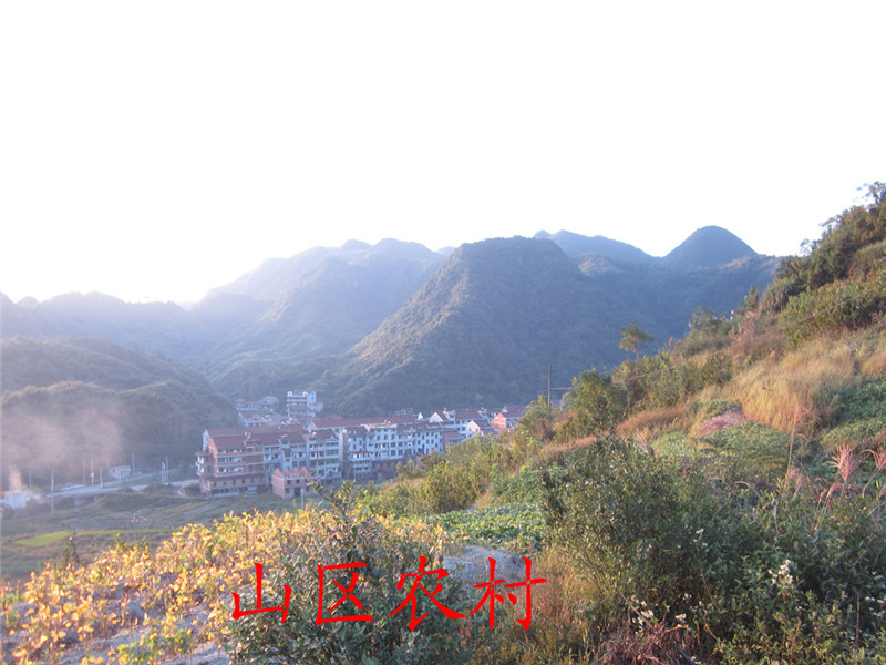 山区32.jpg