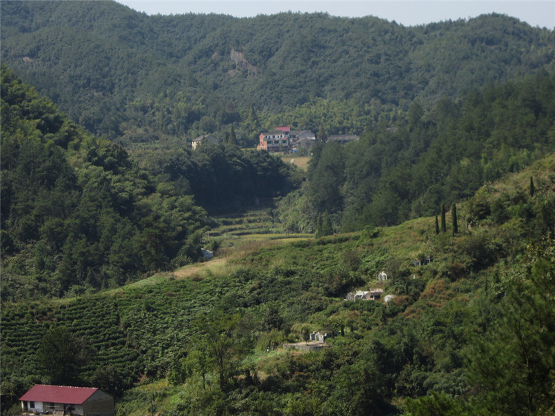 山区36.jpg