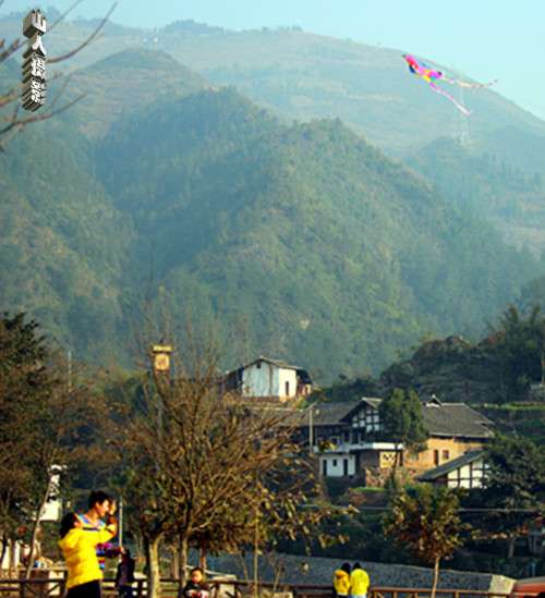 IMG_8665_副本.jpg