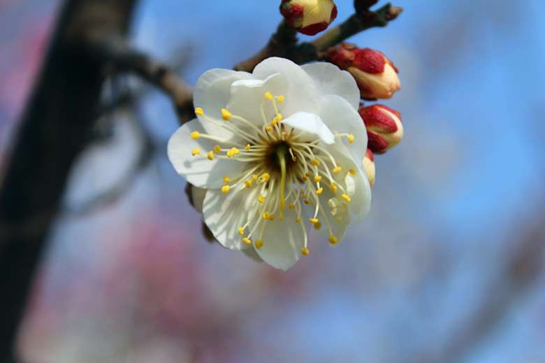 IMG_1138_副本.jpg