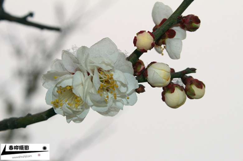 IMG_1160_副本.jpg