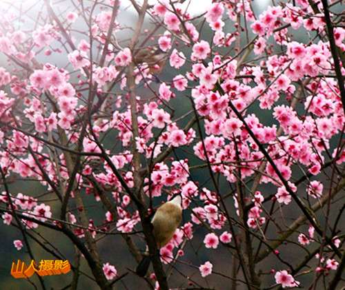 IMG_9078_副本.jpg
