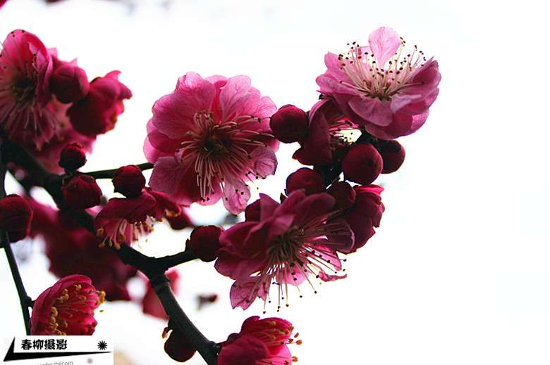 IMG_1397_副本.jpg
