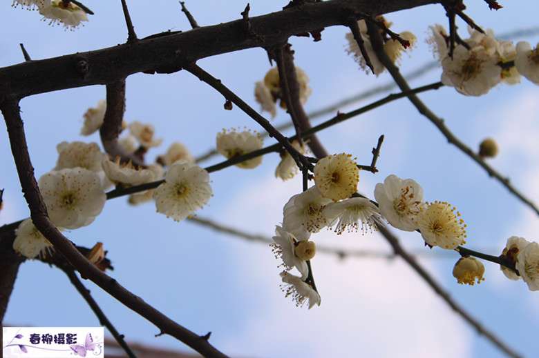IMG_1409_副本.jpg