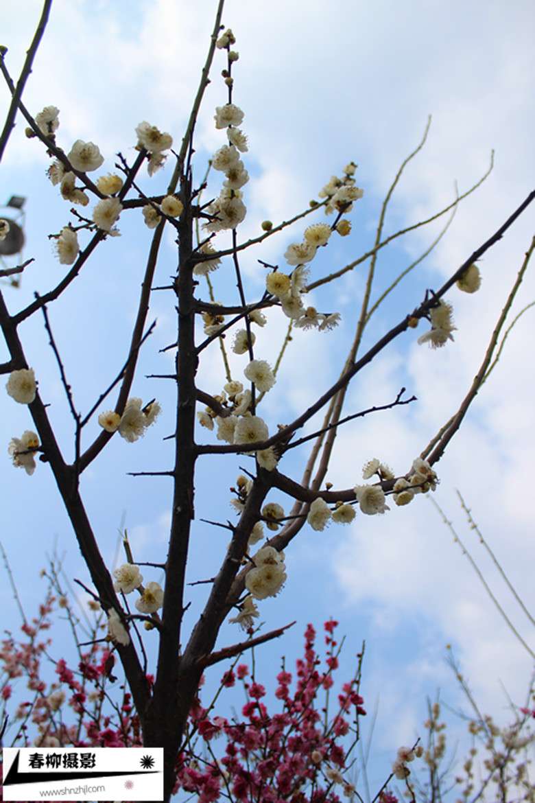 IMG_1410_副本.jpg
