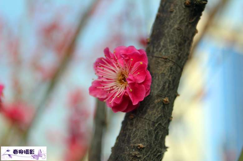 IMG_1440_副本.jpg