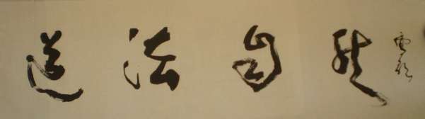 复件 P1011702.jpg