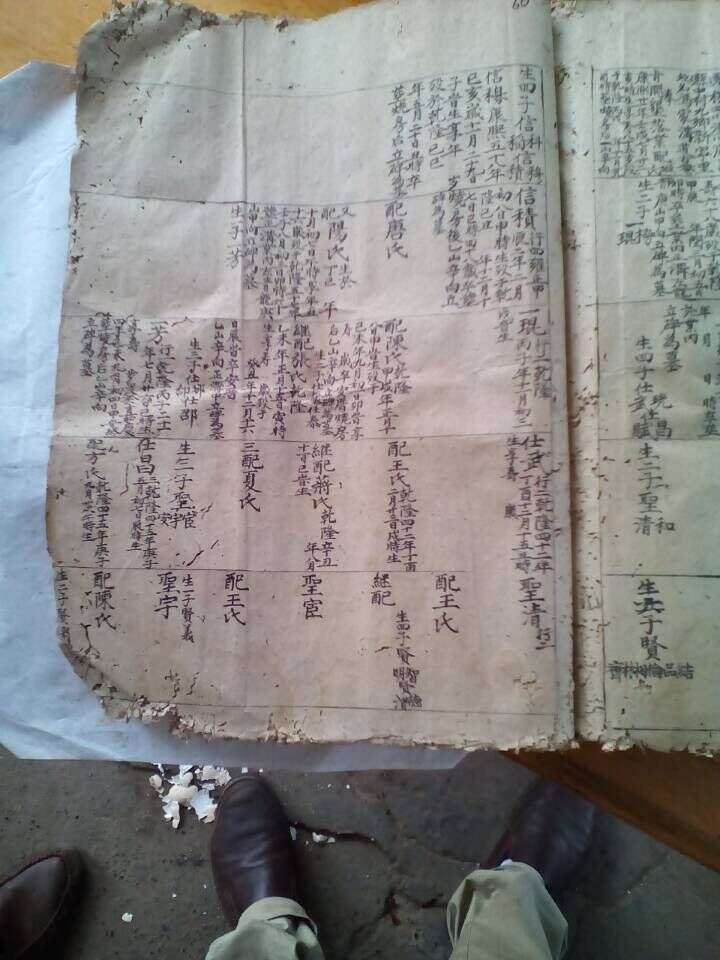 QQ图片20150614102749.jpg