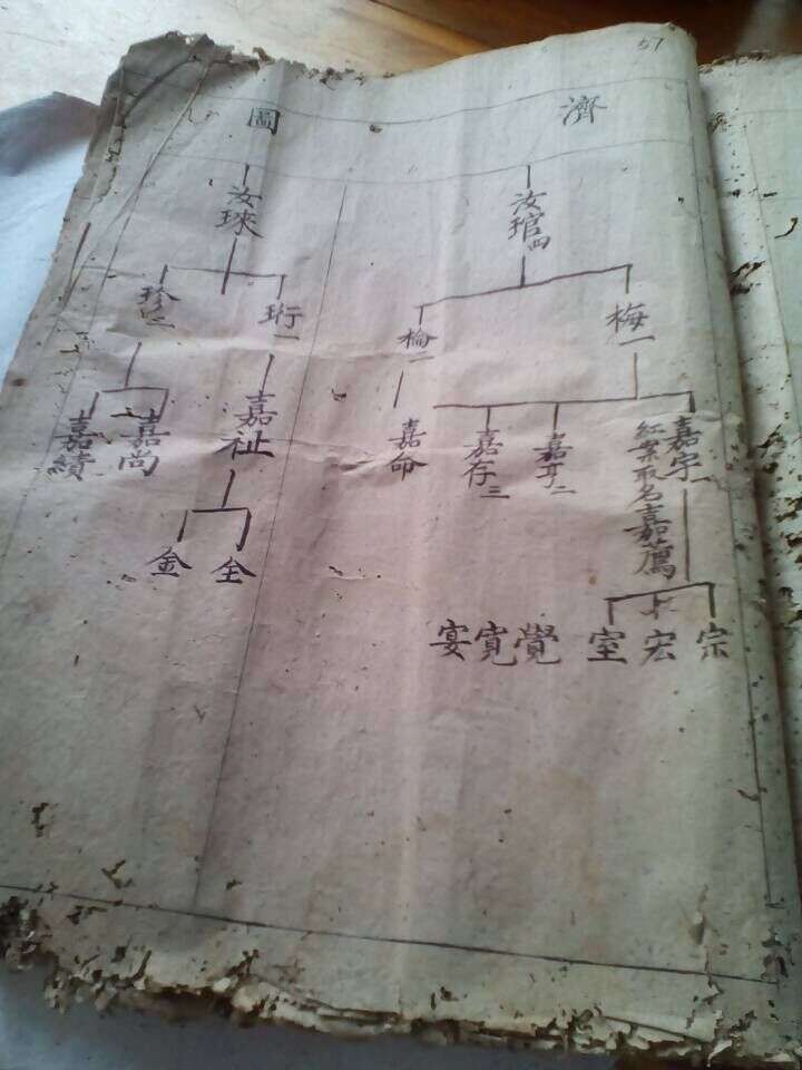 QQ图片20150614102820.jpg