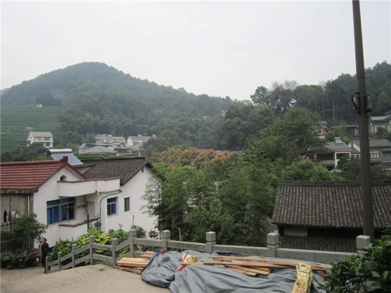 龙井村05.jpg