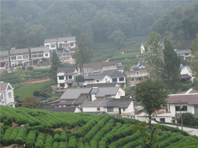 龙井村06.jpg