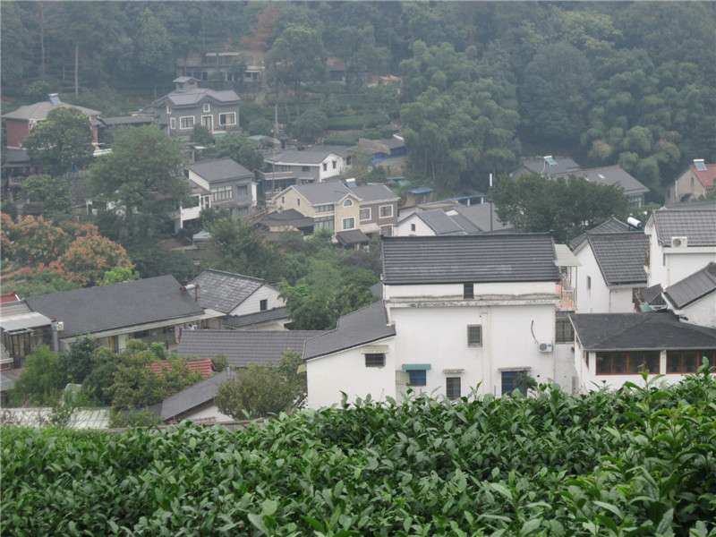 龙井村07.jpg