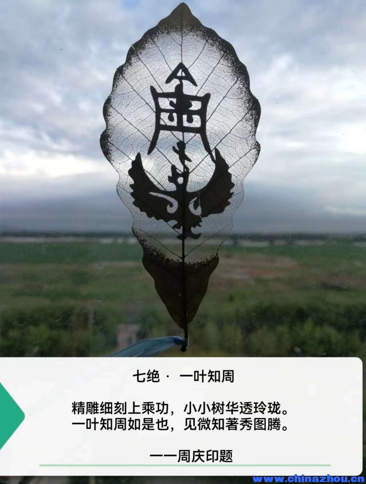 微信图片_20230704110517.jpg