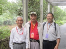 本网站不发无关帖子