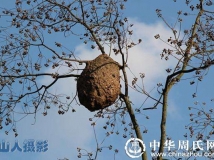 杰作